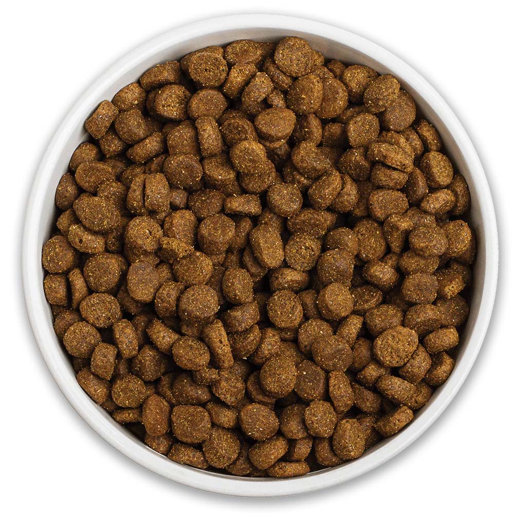 Fresh Dog Food compared to Kibble