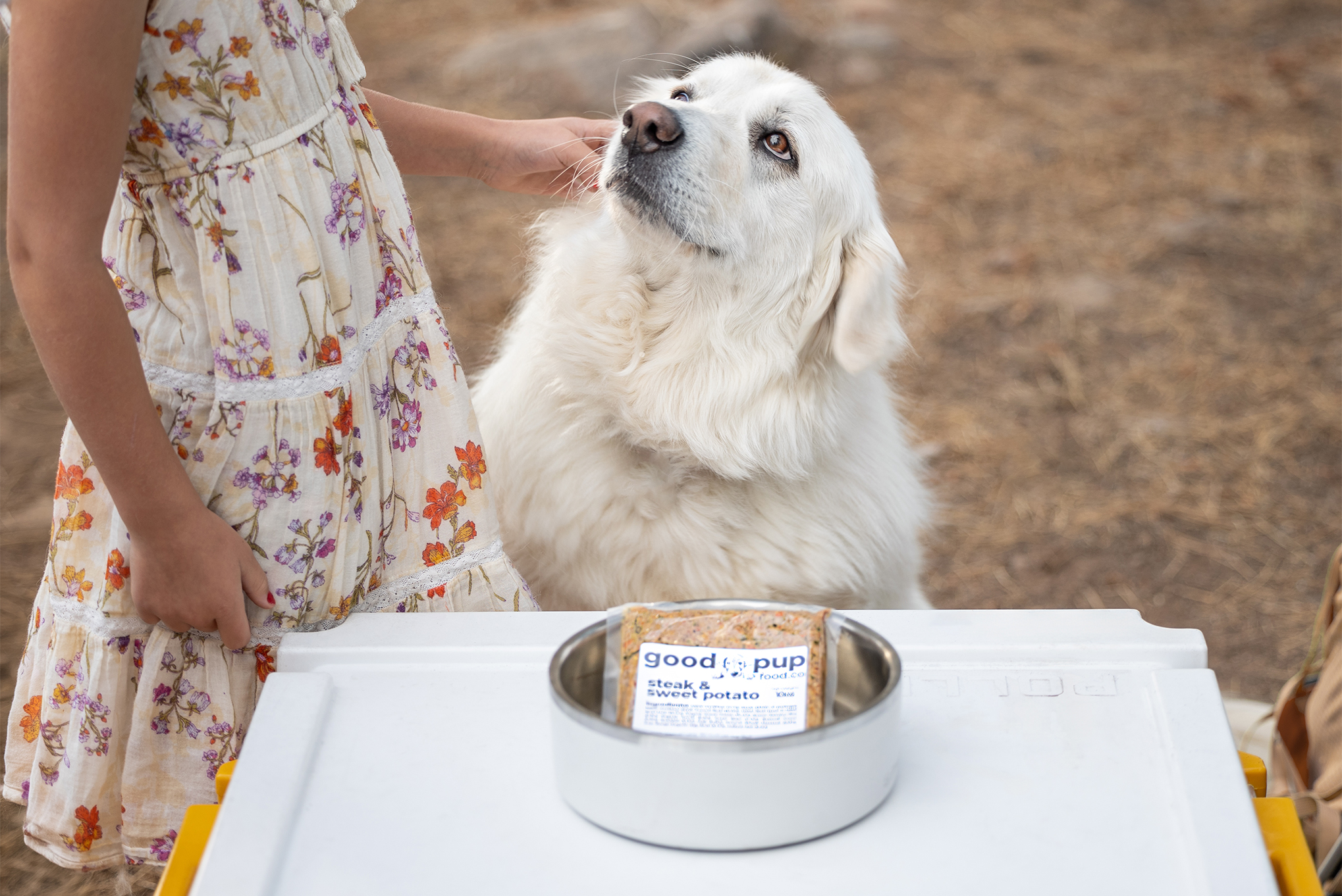 fresh dog food deliver in Reno