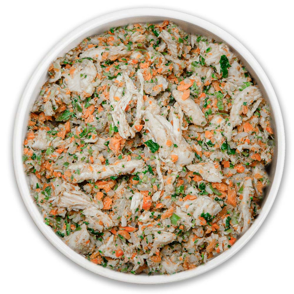 Fresh Dog Food vs Kibble