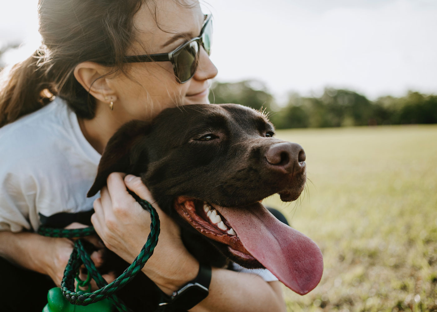 New Year’s Resolutions for Dog Owners: Elevate Your Dog’s Health